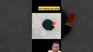 Ice fishing for pike fishing fish icefishing catchandrelease trout bassfishing carpfishing [upl. by Kerekes]