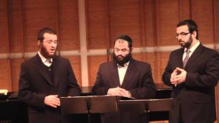 Cantors Yaakov LemmerShimmy MillerZevi Muller [upl. by Keily278]