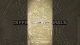 The Mystery of the Nazca Lines [upl. by Izzy]