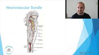 Osteopathic Considerations Hip Extension [upl. by Nogas]