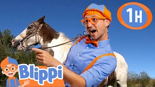 Learn About Horses  Blippi  Animal Videos and Kids Education [upl. by Piefer]