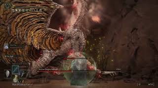 ANCIENT DRAGON SENESSAX BOSS FIGHT ELDEN RING SHADOW OF THE ERDTREE DLC 4K 60FPS EASY KILL CHEESE [upl. by Sjoberg775]