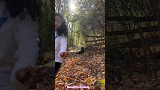 Autumn 🍂 View At Oglebay in Wheeling WV autumn wv shortvideo [upl. by Dnar]