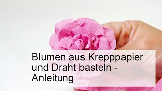 Blumen aus Krepppapier und Draht basteln  Anleitung [upl. by Aketahs]