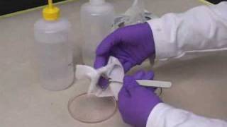 Dye Sensitized Solar Cell Lab Procedure [upl. by Amsaj]