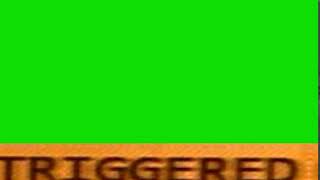 Triggered  Green Screen  Chromakey  Meme Source [upl. by Leuqcar]