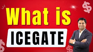 What is icegate in export import business   Icegate kya hai  DGFT  Customs [upl. by Dat]