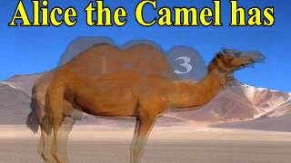 Alice The Camel  Anon Arr PMAdamson [upl. by Aitnwahs]