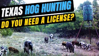 Do you need a hunting license to hunt hogs in Texas The most recent restrictions [upl. by Roseann]