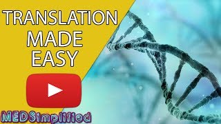 DNA Translation Made Easy [upl. by Mandeville999]