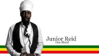 Junior Reid  One Blood [upl. by Artcele]