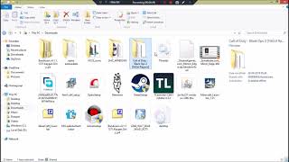 2018 Black Ops 2 Installation Tutorial Video  Fitgirl repack [upl. by Aicilic876]