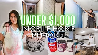 REMODELING A SINGLE WIDE MOBILE HOME FOR UNDER 1000 DOLLARS  MOBILE HOME UPDATE [upl. by Peggi]