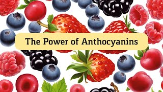 The Power of Anthocyanins Strengthen Your Bones and Reduce Osteoporosis Risk [upl. by Vladamir]