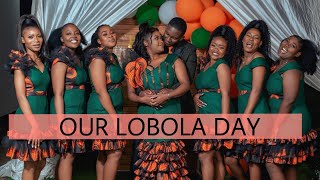 Lobola day vlog 🐄🐮💰💵 [upl. by Gerg]