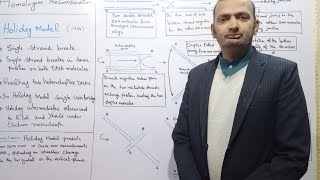 Holiday Model of Homologous RecombinationHoliday Junction [upl. by Gabriell]