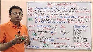 Antihypertensive Drugs Part 05  ReninAngiotensin System Inhibitors  RAAS Mechanism of Action [upl. by Middleton]