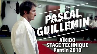 Pascal Guillemin Aïkido Pantin mars 2018 [upl. by See]