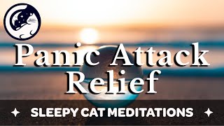 Panic Attack Calming Meditation  Breathing Words of Comfort and Body Scan to Release Anxiety [upl. by Hubert]