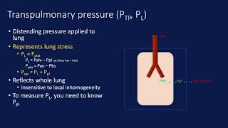 PTP Peso Stress StrainA User’s Guide to Bedside Ventilation Physiology  Eric Honig MD [upl. by Ynnhoj604]