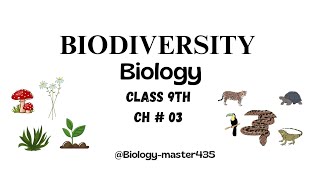 Biodiversity Introduction Classification Units Principles Ch  3  Biology Class 9th STBB [upl. by Eceinahs]