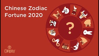 Happy New Year of the Rat Whats your Chinese Zodiac Sign Fortune in 2020 [upl. by Idna276]