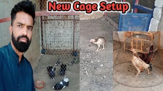 Finally Murgian Ka Cage Setup Hogya pets Vlog [upl. by Turmel42]