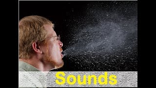 Sneeze Male Sound Effects All Sounds [upl. by Anastice]