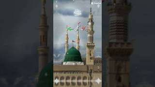 TU shahy khobaa naat ❤️likeshare subscribe trending islamicshorts [upl. by Custer]