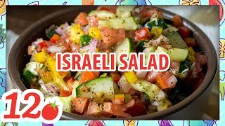 How to Make Israeli Salad Recipe [upl. by Eetnod457]