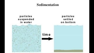 What is Sedimentation   Essential Science  Terms [upl. by Ute]