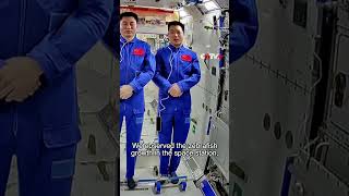 Shenzhou18 Crew Share Progress on SelfSustaining Fish Ecosystem in Space [upl. by Aikrahs]