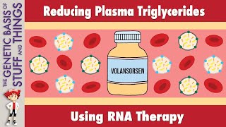 Volanesorsen A novel treatment for high triglyceride levels [upl. by Lonni]