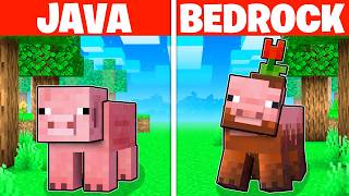 20 Minecraft Java VS Bedrock THINGS [upl. by Norvun]