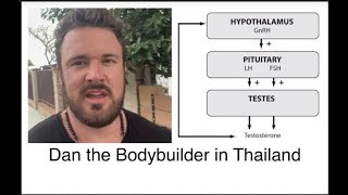 HPTA Axis Explained  WHY PCT WORKS AFTER A STEROID CYCLE  BODYBUILDING SCIENCE [upl. by Laresa]