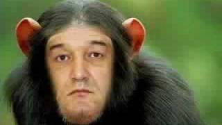 Parodie Muzicala  Gigi Becali [upl. by Anirtruc300]