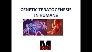 GENETIC TERATOGENESIS IN HUMANS [upl. by Kcirdec308]