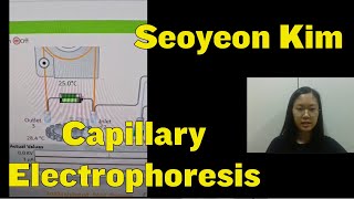 Capillary Electrophoresis — Seoyeon [upl. by Markowitz]