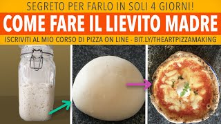 Come Fare Il Lievito Madre In 4 Giorni  Perfetto Per Pane e Pizza  Ricetta di Gigio Attanasio [upl. by Torie]