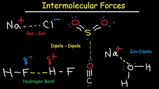 Intermolecular Forces  Hydrogen Bonding DipoleDipole IonDipole London Dispersion Interactions [upl. by Naahs965]