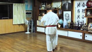 Piñan Shodan  Sensei Takara  Honbu Dojo Shidokan [upl. by Anilrahc]