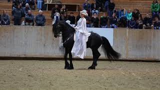 Friesenshow Fehraltorf 2017 Dr Sandra HeineKuhbier mit 18j Friesenhengst Yke [upl. by Nahgiem]