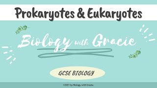 Prokaryotes amp Eukaryotes  Animal Plant amp Bacterial Cells  GCSE Biology  Biology with Gracie [upl. by Starr]