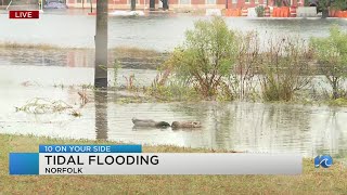 Tidal flooding expected in Norfolk due to coastal storm [upl. by Lalat236]