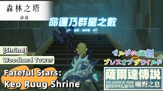 【NS】薩爾達傳說曠野之息命運乃群星之數基耀•烏神廟 The Legend of Zelda BotW  Fateful Stars Keo Ruug Shrine [upl. by Annoerb]