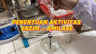 Praktikum Penentuan Aktivitas Enzim aAmilase chemistry [upl. by Hillegass]