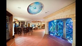 MOST AMAZING HOME AQUARIUM [upl. by Maurer]