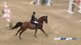 Armison amp Charthago Blue Agravis Cup Oldenburg 2023 [upl. by Daria]