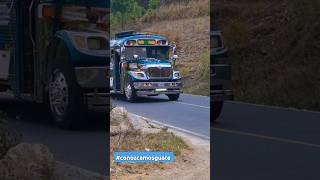 AUTOBUSES DE GUATEMALA feedshorts buses guatemala suscribete [upl. by Jock82]