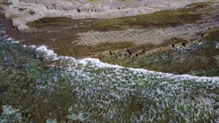 Tessellated Pavement [upl. by Frissell907]